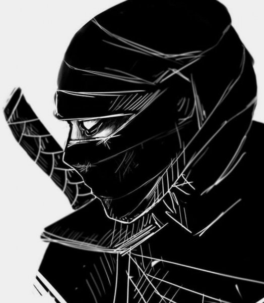 Темный ниндзя