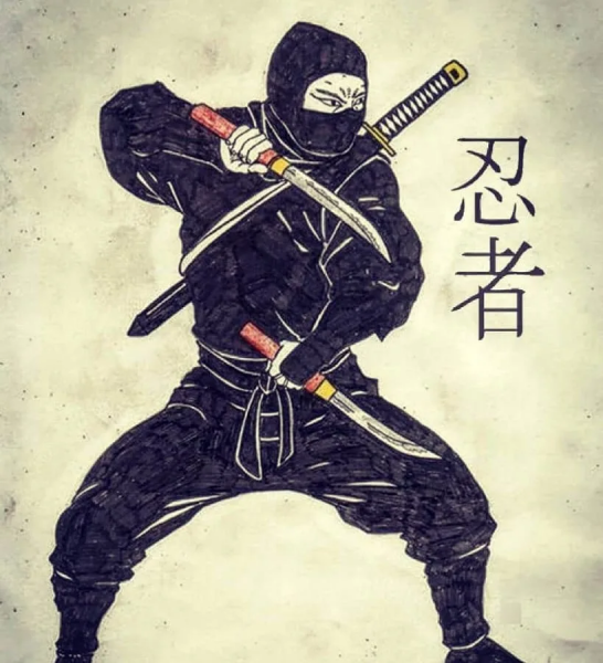 Воины тени ниндзя и ниндзюцу
