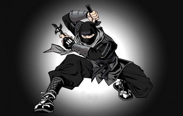 Крутой ниндзя