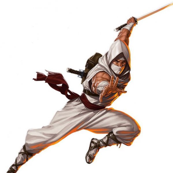 Ниндзя шторм Шедоу