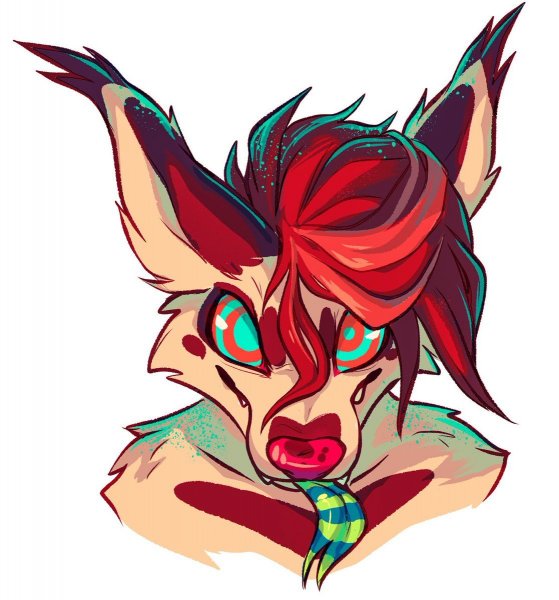 Рысь Николь furry