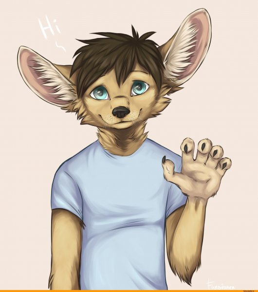 Фурри арты для срисовки