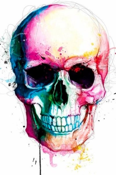 Красивый череп