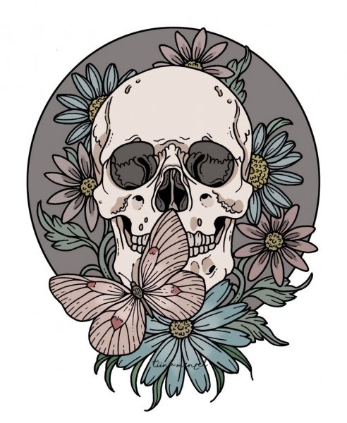 Череп рисунок