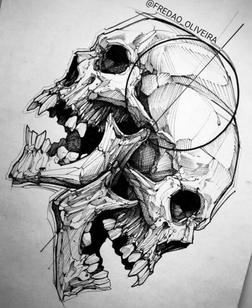 Череп набросок