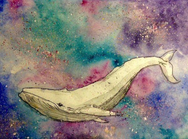 Кит рисунок