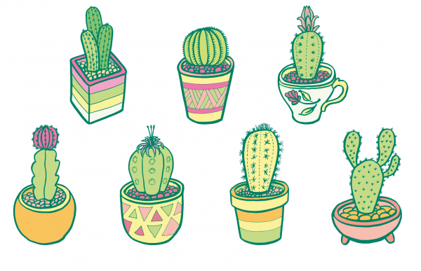 Стилизация кактуса