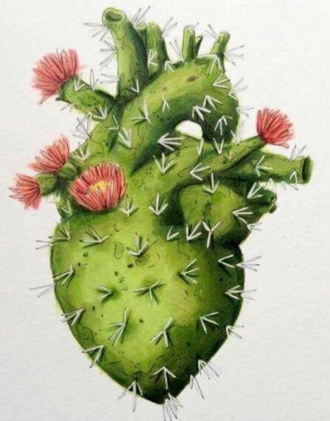 Кактус в виде сердца