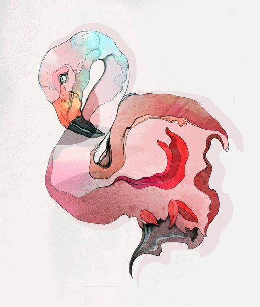 Фламинго стилизация