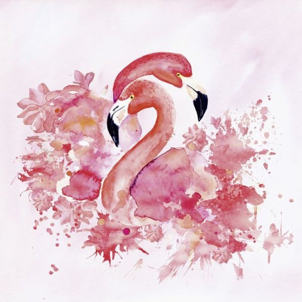 Фламинго плакат