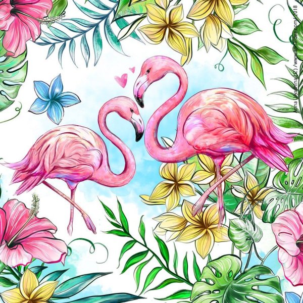 Фламинго рисунок