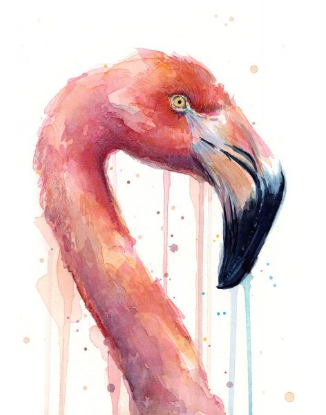 Фламинго акварелью
