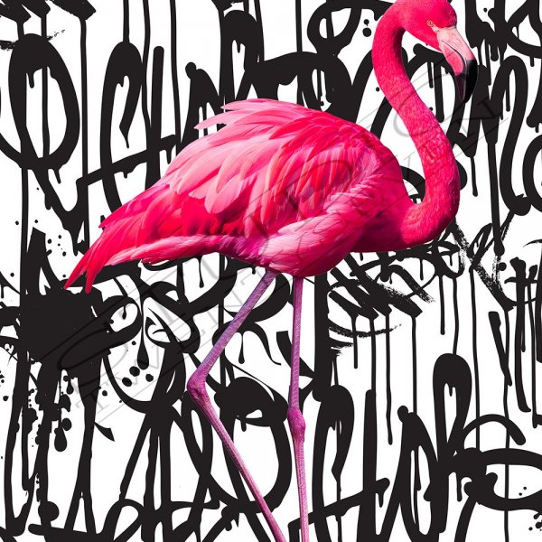 Фламинго граффити