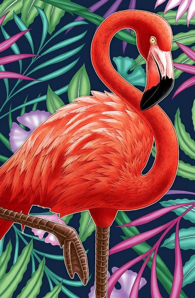 Фламинго иллюстрация