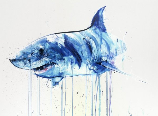 Акула акварелью