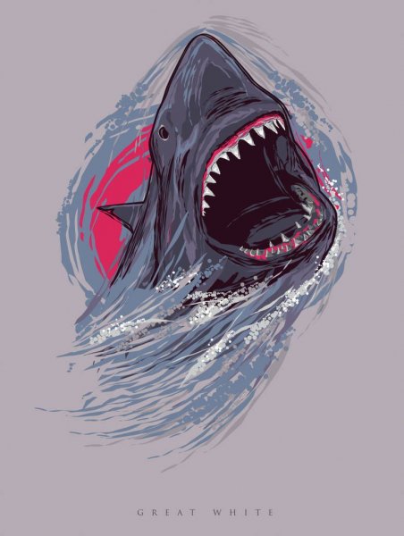 Акула арт