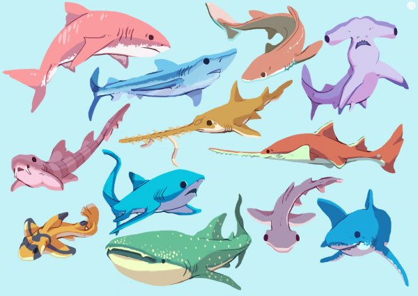 Милые акулята