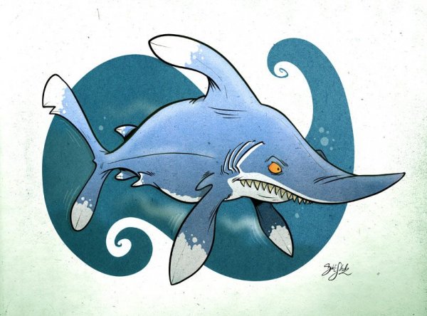 Акула арт для срисовки