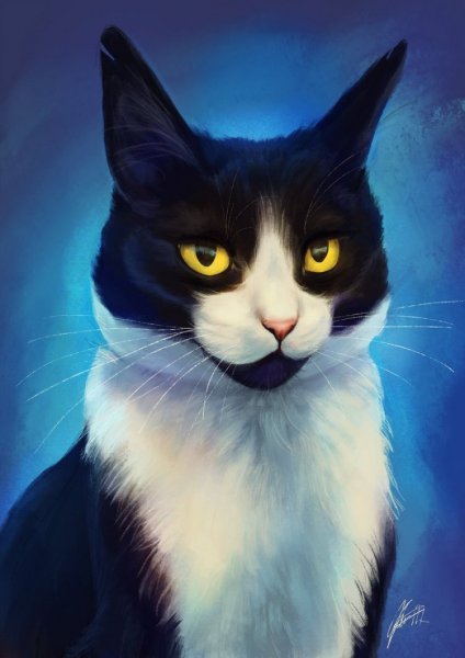 Аватар кошка