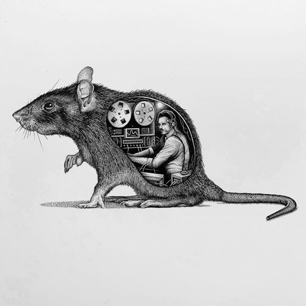 Крыса картина