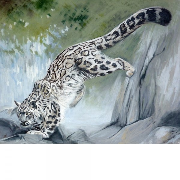 Барс иллюстрация