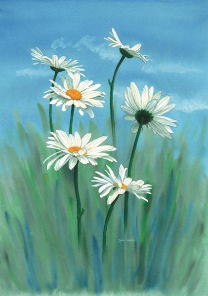 Цветы арт ромашки