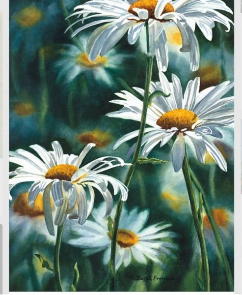 Ромашки акрилом