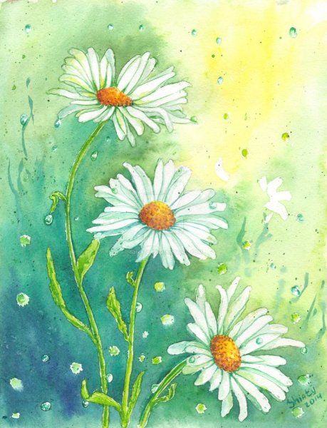 Ромашка рисунок