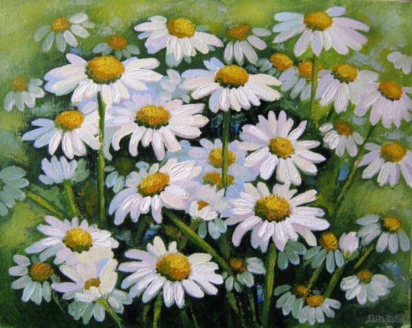Ромашки арты