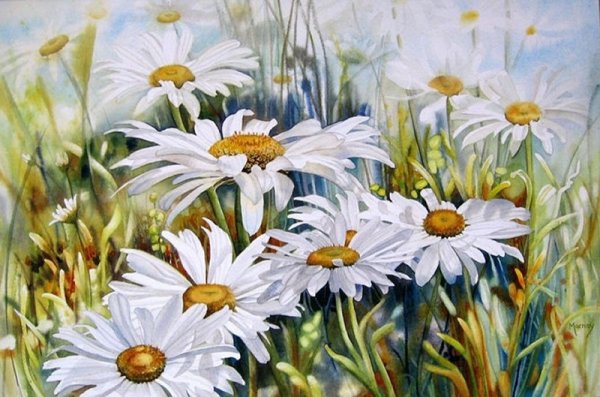 Ромашки поле живопись маслом