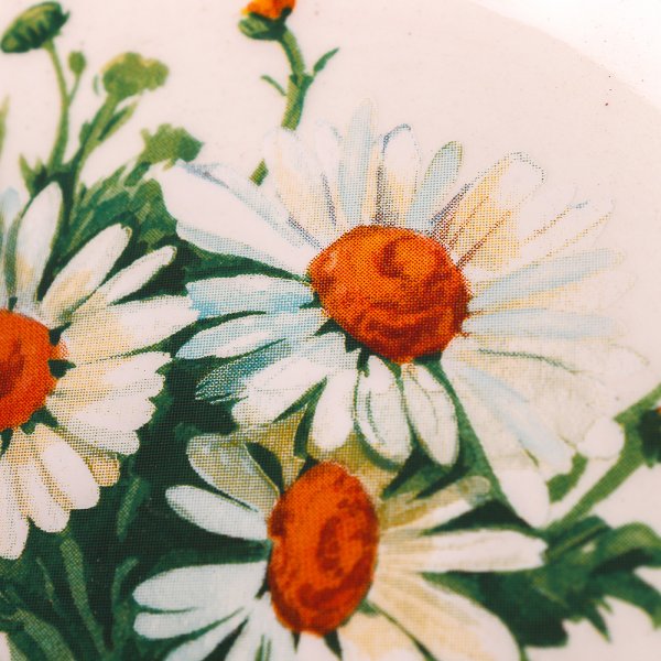 Цветы арт ромашки