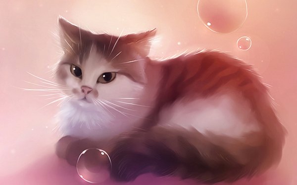 Рихард Донскис котики