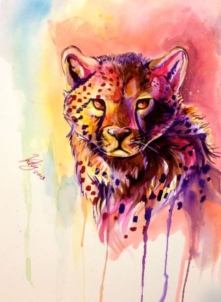 Гепард арты