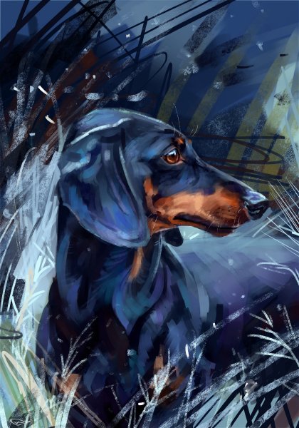 Красивые арты собак