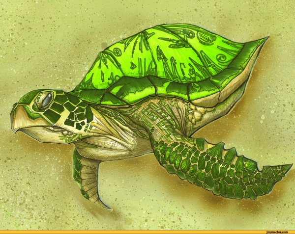Крутая черепаха