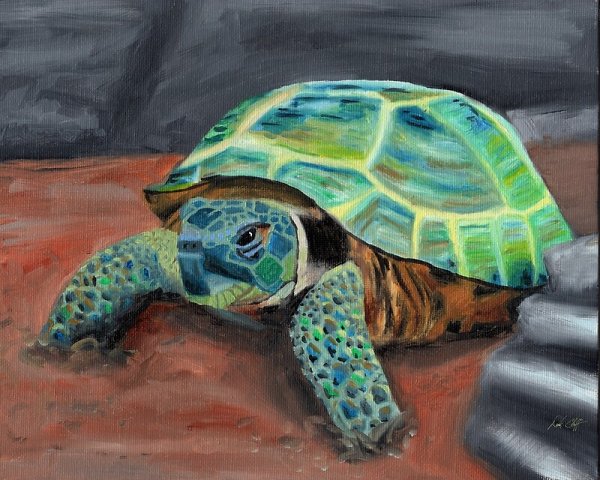 Тидлс черепаха