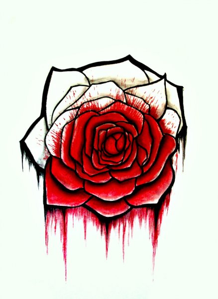 Алая роза арт