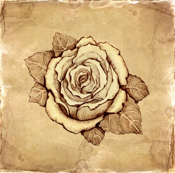 Синяя роза арт