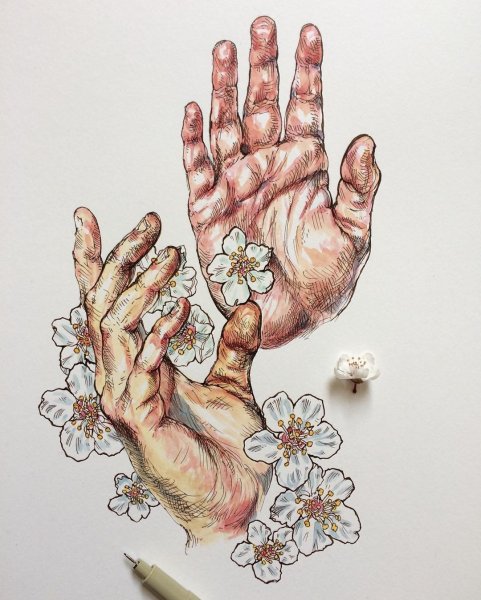 Руки рисунок