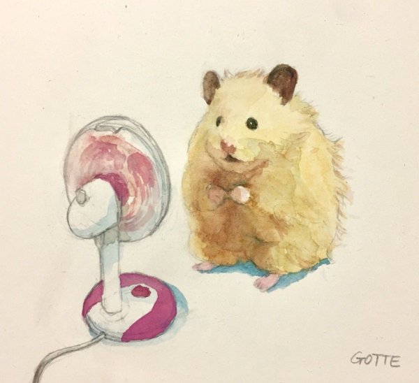 Рисунки милых хомячков