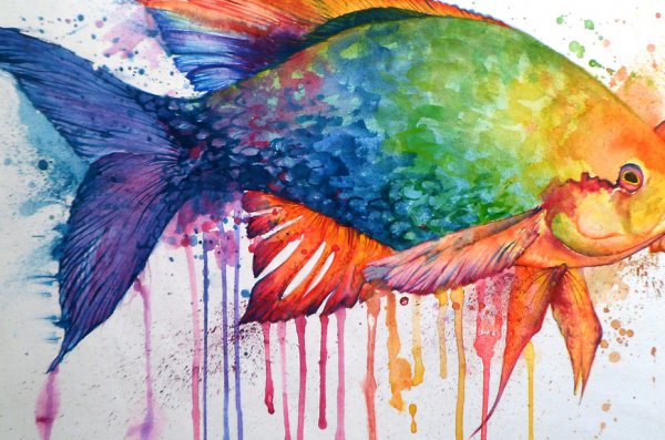Рыбки акварелью