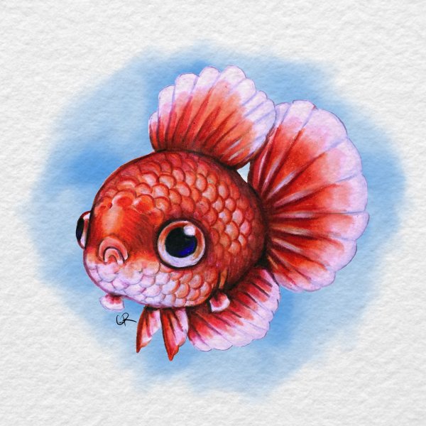 Рыбки цветными карадашом