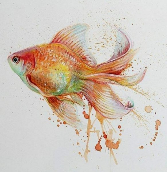Рыбки акварелью
