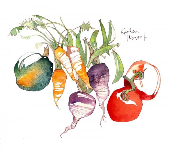 Овощи скетч