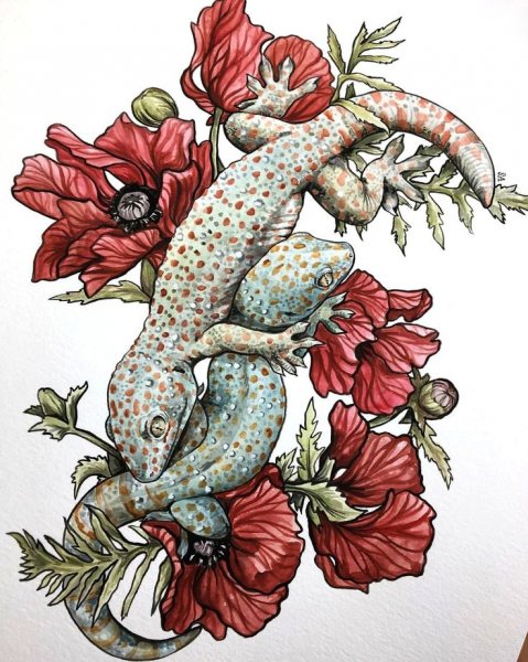 Ящерицы арты