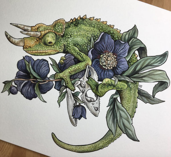 Рептилии Графика