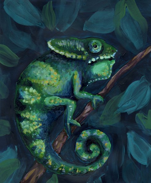 Хамелеон арт