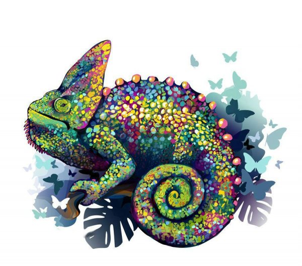 Ящерица цветными карандашами