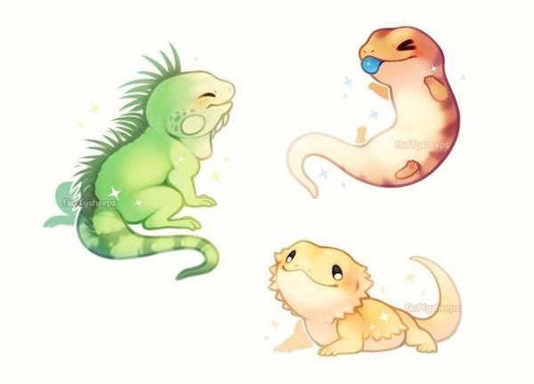 Чиби эублефар