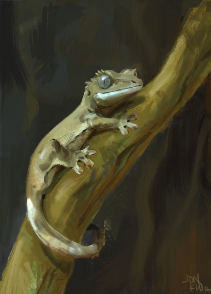 Ящерицы арты